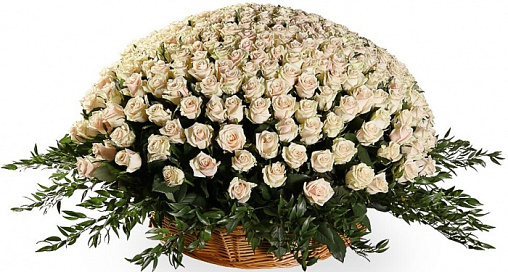 Цветы в корзине 065 / 501 роза