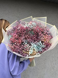 Букет 406 из 19 гипсофил