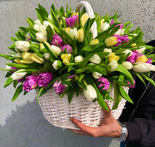 Цветы в корзине 054 / 201 тюльпан