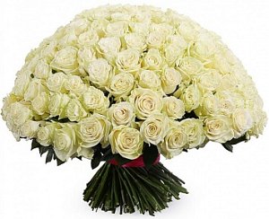 Букет 203 / 201 роза