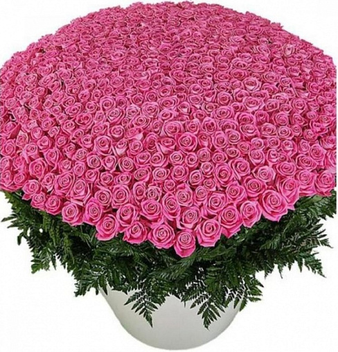 Цветы в корзине 064 / 501 роза