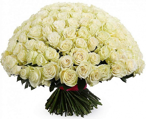 Букет 203 / 201 роза Составлен из: Розы эквадор в интернет-магазине «Букет Юг»