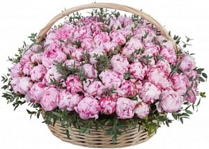 Цветы в корзине 057 / 101 пион
