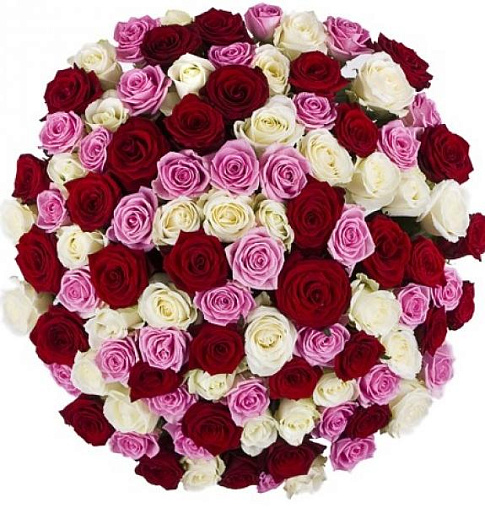Букет 211 / 101 роза Составлен из: Розы российские в интернет-магазине «Букет Юг»