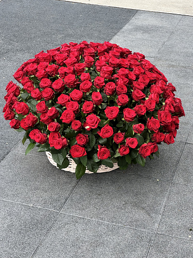 Цветы в корзине 070 / 211 роз