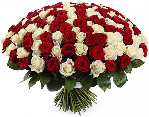 Букет 208 / 201 роза Составлен из: Розы российские в интернет-магазине «Букет Юг»