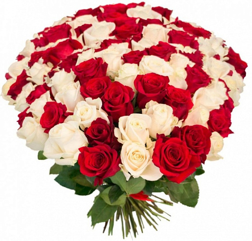 Букет 201 / 101 роза Составлен из: Розы эквадор в интернет-магазине «Букет Юг»