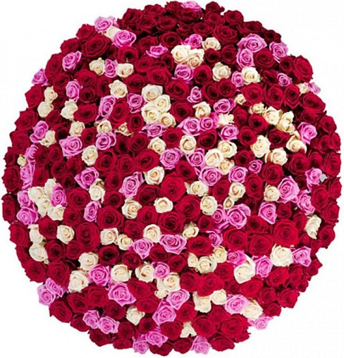 Букет 209 / 301 роза Составлен из: Розы российские в интернет-магазине «Букет Юг»