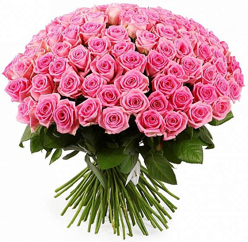 Букет 038 / 101 роза Составлен из: Розы российские в интернет-магазине «Букет Юг»